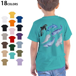 Iׂ18J[ TVc LbY  zCg O[ fUC 90 100 110 120 130 140 150 160 TVc eB[Vc T shirt 015826 @C@@V`