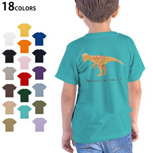 Iׂ18J[ TVc LbY  zCg O[ fUC 90 100 110 120 130 140 150 160 TVc eB[Vc T shirt 017690 pLPt@TEX saurus 
