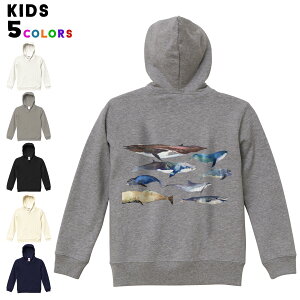 Iׂ6J[ p[J[ XEFbg obNvgLbY jp j̎q ̎q jZbNX unisex  fUC@u 110 130 150 parker sweat 015836 @C@@V`