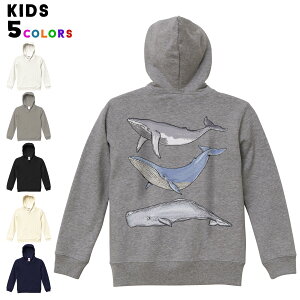 Iׂ6J[ p[J[ XEFbg obNvgLbY jp j̎q ̎q jZbNX unisex  fUC@u 110 130 150 parker sweat 015851 @@C