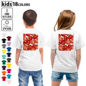 hCTVc obNvg Iׂ18J[ tVc LbY   UV fUC 120 130 140 150 160 TVc eB[Vc T shirt@008422 ؁@g}g@ԁ@bh@͗l