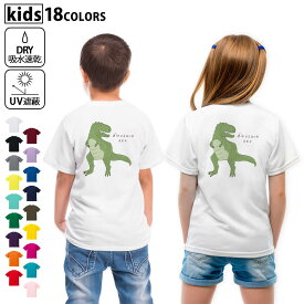 ドライTシャツ バックプリント 選べる18カラー tシャツ キッズ 半袖 速乾 UV デザイン 120 130 140 150 160 Tシャツ ティーシャツ T shirt　017558 ダイナソー　恐竜　Dinosaur rex　ティラノサウルス