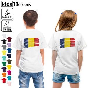 �h���CT�V���c �o�b�N�v�����g �I�ׂ�18�J���[ t�V���c �L�b�Y ���� ���� UV �f�U�C�� 120 130 140 150 160 T�V���c �e�B�[�V���c T shirt�@018543 romania ���[�}�j�A