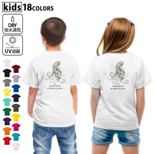 �h���CT�V���c �o�b�N�v�����g �I�ׂ�18�J���[ t�V���c �L�b�Y ���� ���� UV �f�U�C�� 120 130 140 150 160 T�V���c �e�B�[�V���c T shirt�@019730 �C�̐��� �^�R octopus