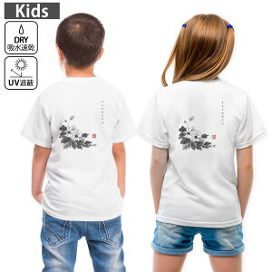 LbY obNvg hCTVc zCg  4.1IX g[jO X|[c W ^ hCAX`bN UVJbg OՕ z 120 130 140 150 160 032065 n 