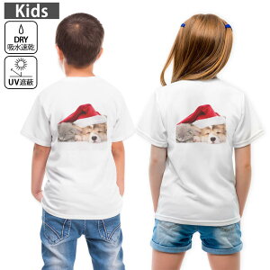 LbY obNvg hCTVc zCg  4.1IX g[jO X|[c W ^ hCAX`bN UVJbg OՕ z 120 130 140 150 160 008645 @L@Xq@