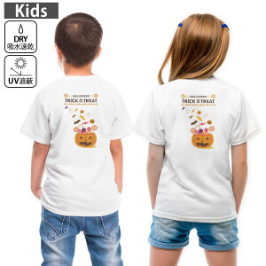 LbY obNvg hCTVc zCg  4.1IX g[jO X|[c W ^ hCAX`bN UVJbg OՕ z 120 130 140 150 160 017449 ڂ@pv