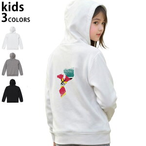 �I�ׂ�3�J���[ �p�[�J�[ �X�E�F�b�g �o�b�N�v�����g�L�b�Y �j�����p �j�̎q ���̎q ���j�Z�b�N�X unisex ���� �f�U�C�� ���u 110 130 150 parker sweat 018894 mozambique ���U���r�[�N