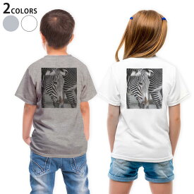 Tシャツ キッズ バックプリント 半袖 白地 デザイン 90 100 110 120 130 140 150 Tシャツ ティーシャツ T shirt 022863 しまうま　動物　写真