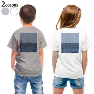 TVc LbY obNvg  n fUC 90 100 110 120 130 140 150 TVc eB[Vc T shirt 023965 @ʐ^@C