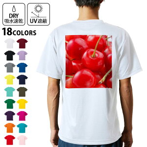 hCTVc obNvg Y z  DRY Iׂ18J[!  fUC w X|[c eB[Vc T shirt 001597 ځ@ʎ