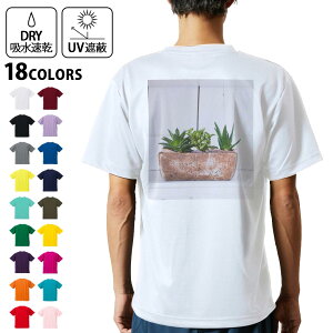 hCTVc obNvg Y z  DRY Iׂ18J[!  fUC w X|[c eB[Vc T shirt 023734 A@Aؔ@ʐ^