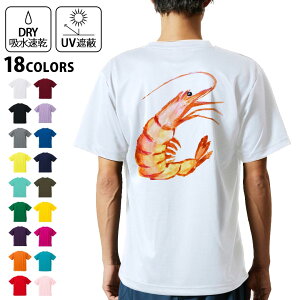 hCTVc obNvg Y z  DRY Iׂ18J[!  fUC w X|[c eB[Vc T shirt 026206 Gr@CV@