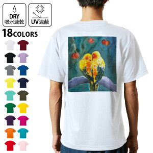 hCTVc obNvg Y z  DRY Iׂ18J[!  fUC w X|[c eB[Vc T shirt 035982   