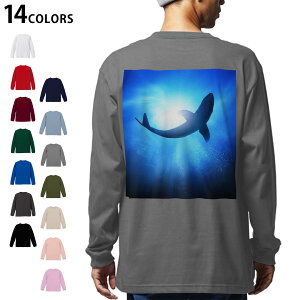 �I�ׂ�14�J���[ �o�b�N�v�����g �����Y ���f�B�[�X ���j�Z�b�N�X unisex ���� �f�U�C�� XS S M L XL 2XL T�V���c �����O �e�B�[�V���c T shirt 012652 ���@������@�C