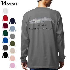 �I�ׂ�14�J���[ �o�b�N�v�����g �����Y ���f�B�[�X ���j�Z�b�N�X unisex ���� �f�U�C�� XS S M L XL 2XL T�V���c �����O �e�B�[�V���c T shirt 019741 �C�̐��� �V���i�K�X�N�W�� blue whale