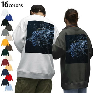 Iׂ16J[g[i[obNvg Y fB[X jZbNX  zCg O[ ubN fUC S M L XL 2XL sweatshirt@trainer XEFbg 023379 Ԃǂ@t[c@ʕ