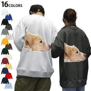 Iׂ16J[g[i[obNvg Y fB[X jZbNX  zCg O[ ubN fUC S M L XL 2XL sweatshirt@trainer XEFbg 006630 ʐ^@@