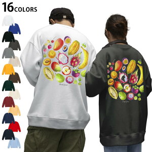 Iׂ16J[g[i[obNvg Y fB[X jZbNX  zCg O[ ubN fUC S M L XL 2XL sweatshirt@trainer XEFbg 014375 ʕ@t[c