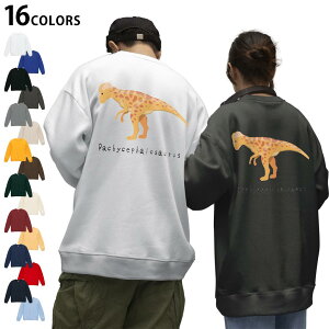 Iׂ16J[g[i[obNvg Y fB[X jZbNX  zCg O[ ubN fUC S M L XL 2XL sweatshirt@trainer XEFbg 017690 pLPt@TEX saurus 