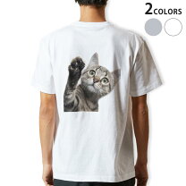 楽天市場】tシャツ 猫 バックプリントの通販