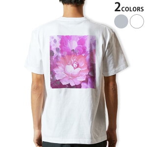 TVc Y obNvg zCg O[ fUC XS S M L XL 2XL tVc eB[Vc T shirt 023641 ԁ@t[@G