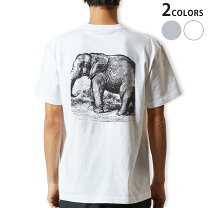 楽天市場】ゾウ（Tシャツ・カットソー｜トップス）：メンズ 