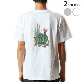 Tシャツ メンズ バックプリント半袖 ホワイト グレー デザイン XS S M L XL 2XL tシャツ ティーシャツ T shirt 015950 サボテン　多肉植物