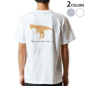 TVc Y obNvg zCg O[ fUC XS S M L XL 2XL tVc eB[Vc T shirt 017690 pLPt@TEX saurus 