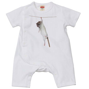 Iׂ6J[ p[X Jo[I[ Ԃ  fUC 70cm 80cm@rompers xr[ V LbY 70TCY 80TCY Mtg }^jeB Dw oYj v}} eB[Vc T shirt 005911 