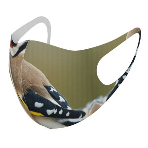 2Zbg fUC}XN 􂦂}XN  lC t@bV |GXe z}XN  JԂ lp qp  Y fB[X j  ǂ WjA LbY c 