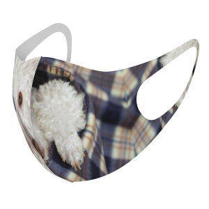 2Zbg fUC}XN 􂦂}XN  lC t@bV |GXe z}XN  JԂ lp qp  Y fB[X j  ǂ WjA LbY c 