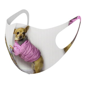 2Zbg fUC}XN 􂦂}XN  lC t@bV |GXe z}XN  JԂ lp qp  Y fB[X j  ǂ WjA LbY c 