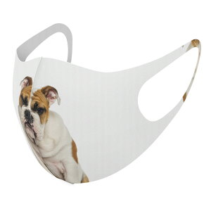 2���Z�b�g �f�U�C���}�X�N �􂦂�}�X�N ������� �l�C �t�@�b�V���� �|���G�X�e�� �z�}�X�N ����� �J��Ԃ� ��l�p �q���p ���� �����Y ���f�B�[�X �j�� ���� ���ǂ� �W���j�A �L�b�Y �c�� 