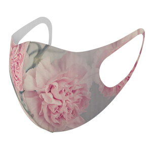 2Zbg fUC}XN 􂦂}XN  lC t@bV |GXe z}XN  JԂ lp qp  Y fB[X j  ǂ WjA LbY c 