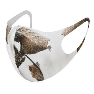 2Zbg fUC}XN 􂦂}XN  lC t@bV |GXe z}XN  JԂ lp qp  Y fB[X j  ǂ WjA LbY c 