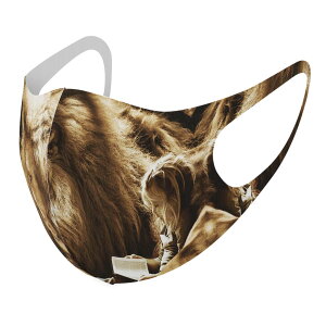 2Zbg fUC}XN 􂦂}XN  lC t@bV |GXe z}XN  JԂ lp qp  Y fB[X j  ǂ WjA LbY c 