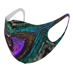 2Zbg fUC}XN 􂦂}XN  lC t@bV |GXe z}XN  JԂ lp qp  Y fB[X j  ǂ WjA LbY c 