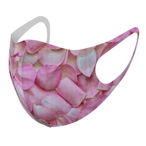 2Zbg fUC}XN 􂦂}XN  lC t@bV |GXe z}XN  JԂ lp qp  Y fB[X j  ǂ WjA LbY c 