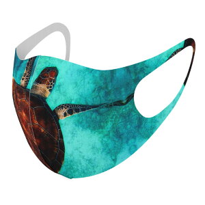 2Zbg fUC}XN 􂦂}XN  lC t@bV |GXe z}XN  JԂ lp qp  Y fB[X j  ǂ WjA LbY c 