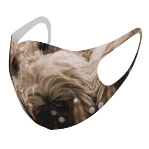 2Zbg fUC}XN 􂦂}XN  lC t@bV |GXe z}XN  JԂ lp qp  Y fB[X j  ǂ WjA LbY c 