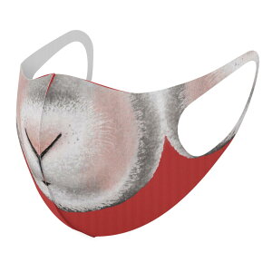 2Zbg fUC}XN 􂦂}XN  lC t@bV |GXe z}XN  JԂ lp qp  Y fB[X j  ǂ WjA LbY c 