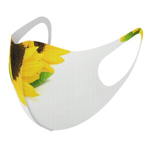 2Zbg fUC}XN 􂦂}XN  lC t@bV |GXe z}XN  JԂ lp qp  Y fB[X j  ǂ WjA LbY c 