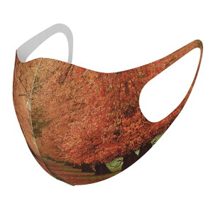 2���Z�b�g �f�U�C���}�X�N �􂦂�}�X�N ������� �l�C �t�@�b�V���� �|���G�X�e�� �z�}�X�N ����� �J��Ԃ� ��l�p �q���p ���� �����Y ���f�B�[�X �j�� ���� ���ǂ� �W���j�A �L�b�Y �c�� 