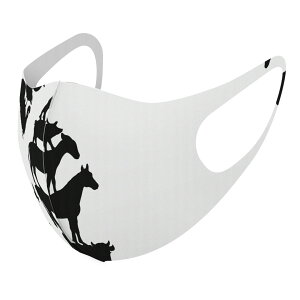 2枚セット デザインマスク 洗えるマスク おしゃれ 人気 ファッション ポリエステル 布マスク 洗って 繰り返し 大人用 子供用 普通 メンズ レディース 男性 女性 こども ジュニア キッズ 幼児