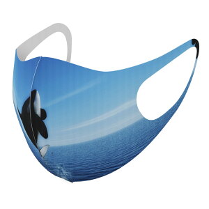 2Zbg fUC}XN 􂦂}XN  lC t@bV |GXe z}XN  JԂ lp qp  Y fB[X j  ǂ WjA LbY c 