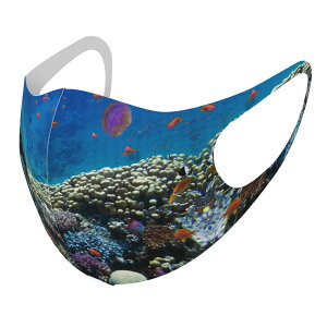 2Zbg fUC}XN 􂦂}XN  lC t@bV |GXe z}XN  JԂ lp qp  Y fB[X j  ǂ WjA LbY c 