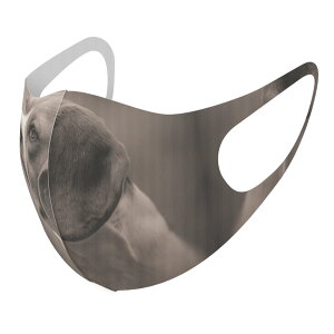 2Zbg fUC}XN 􂦂}XN  lC t@bV |GXe z}XN  JԂ lp qp  Y fB[X j  ǂ WjA LbY c 