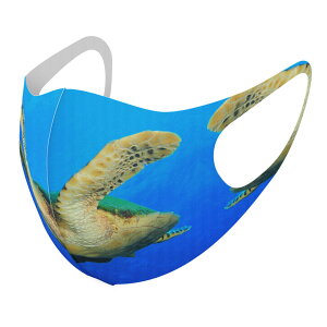 2Zbg fUC}XN 􂦂}XN  lC t@bV |GXe z}XN  JԂ lp qp  Y fB[X j  ǂ WjA LbY c 