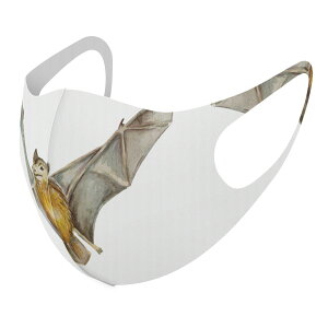 2Zbg fUC}XN 􂦂}XN  lC t@bV |GXe z}XN  JԂ lp qp  Y fB[X j  ǂ WjA LbY c 